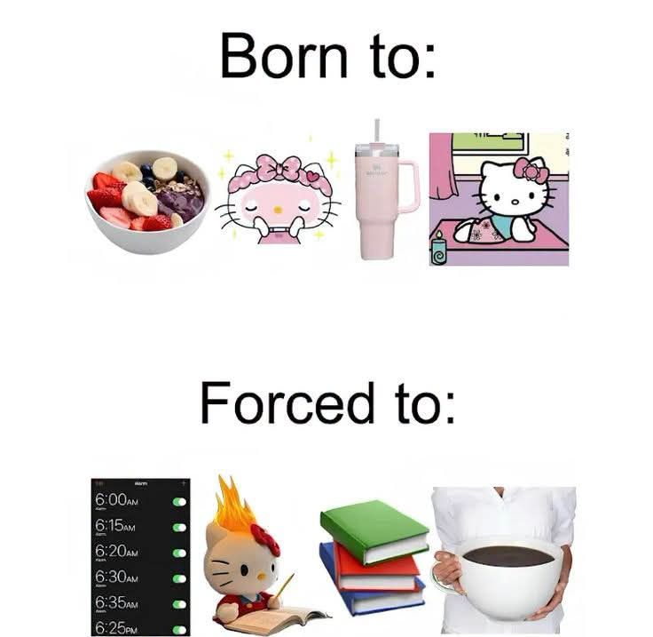 Sadly true 🤣