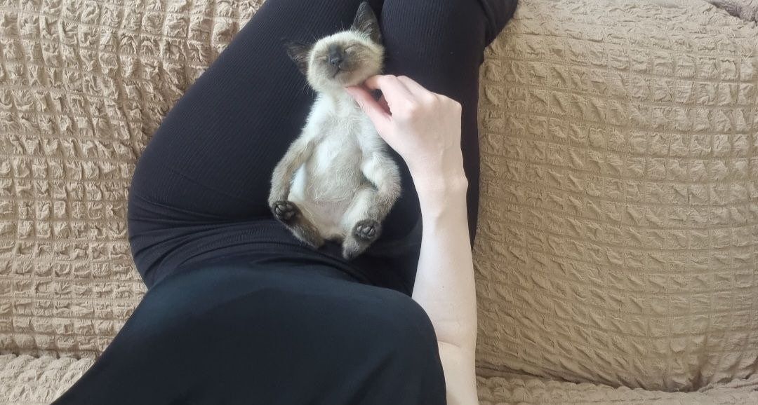 MEOW <3