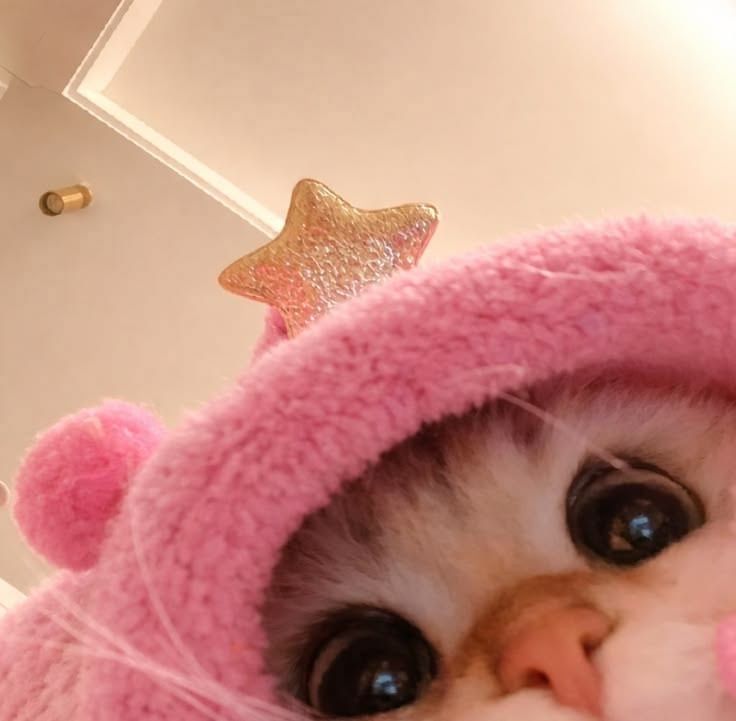 Holii, Jugamos un ratito?💖