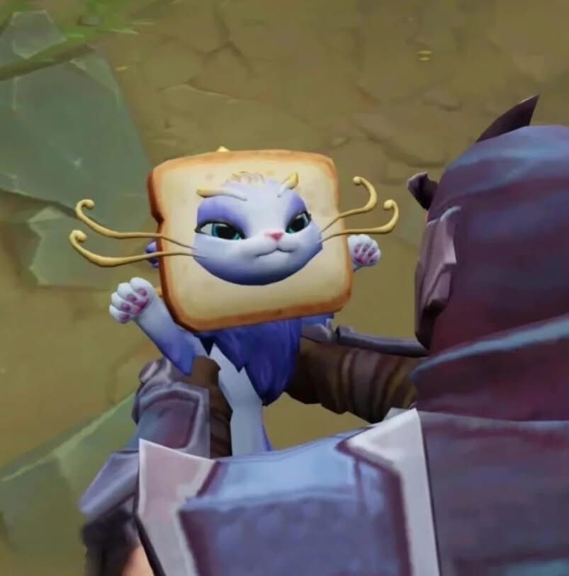 learning league for the first time