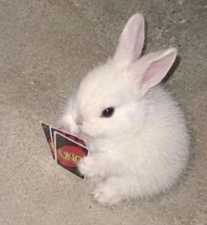 grr,the most dangerous bunny on Valo is here