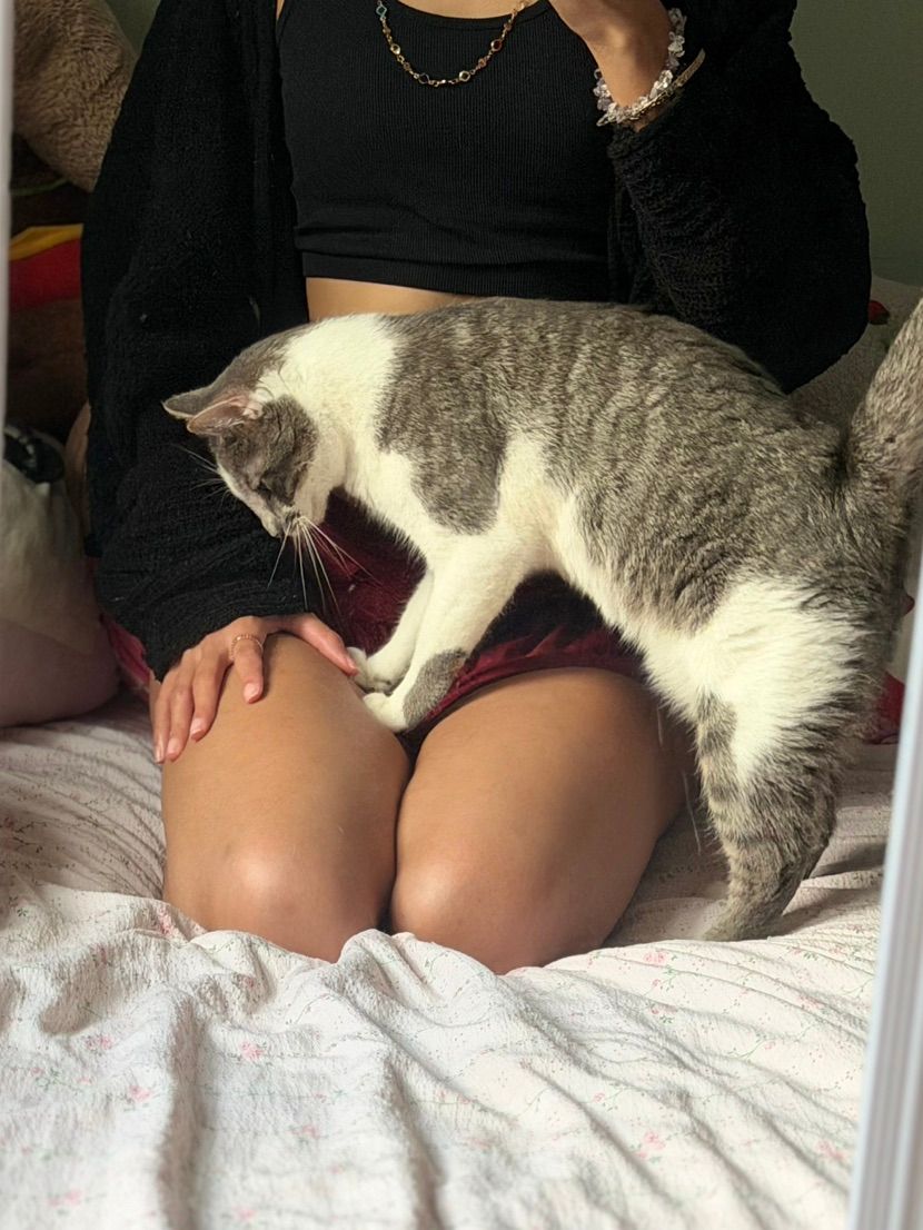 mreow