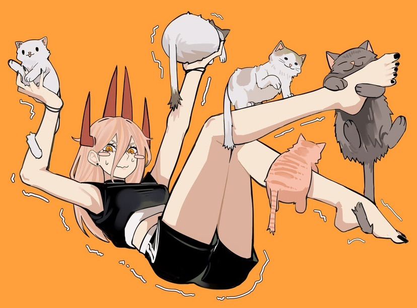 meow meow