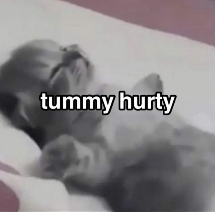 textt meeeee