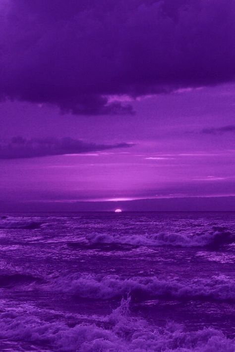 💜🪻