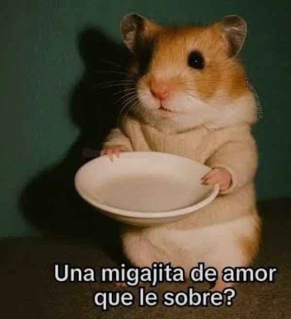 un poquito nada mas