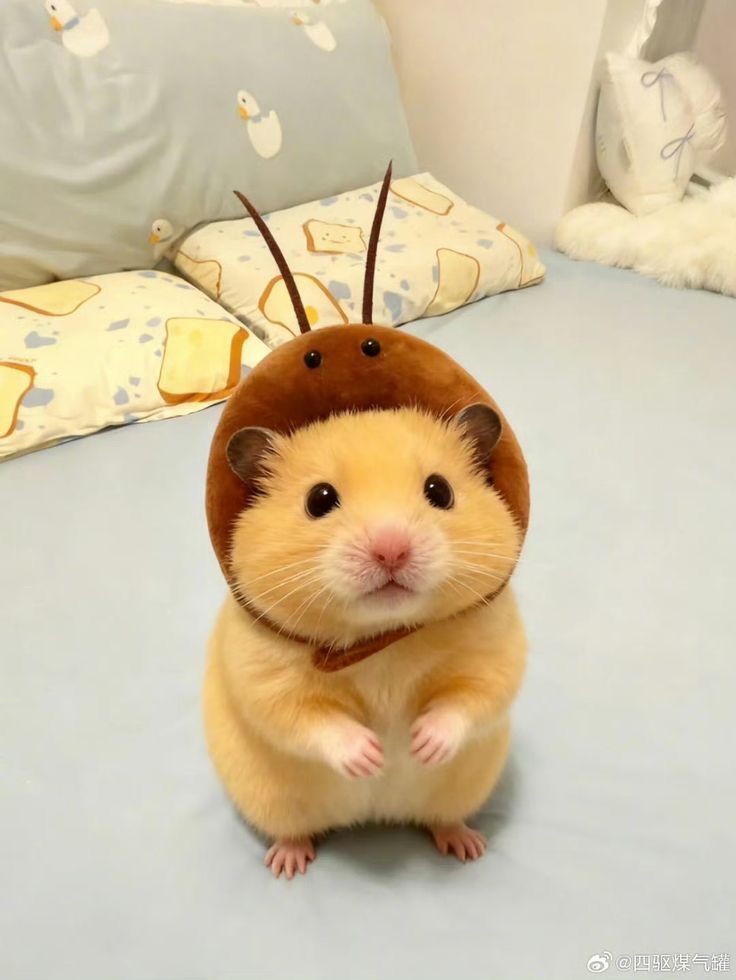 si yo fuera una cucaracha, tu me querrias?