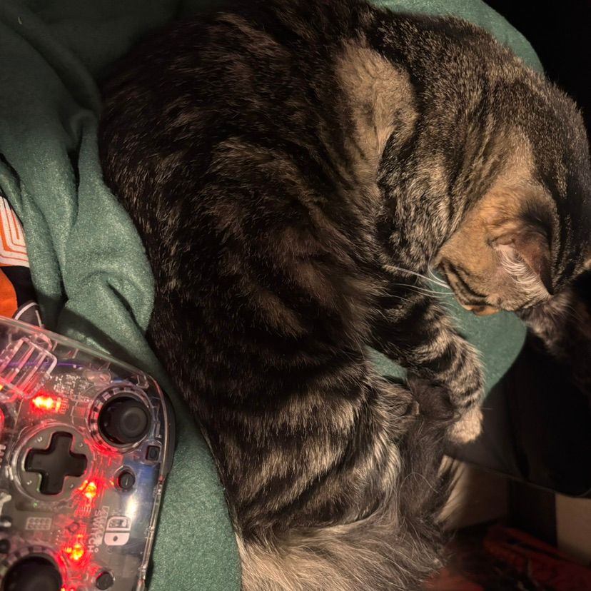 my overwatch duo is eepy