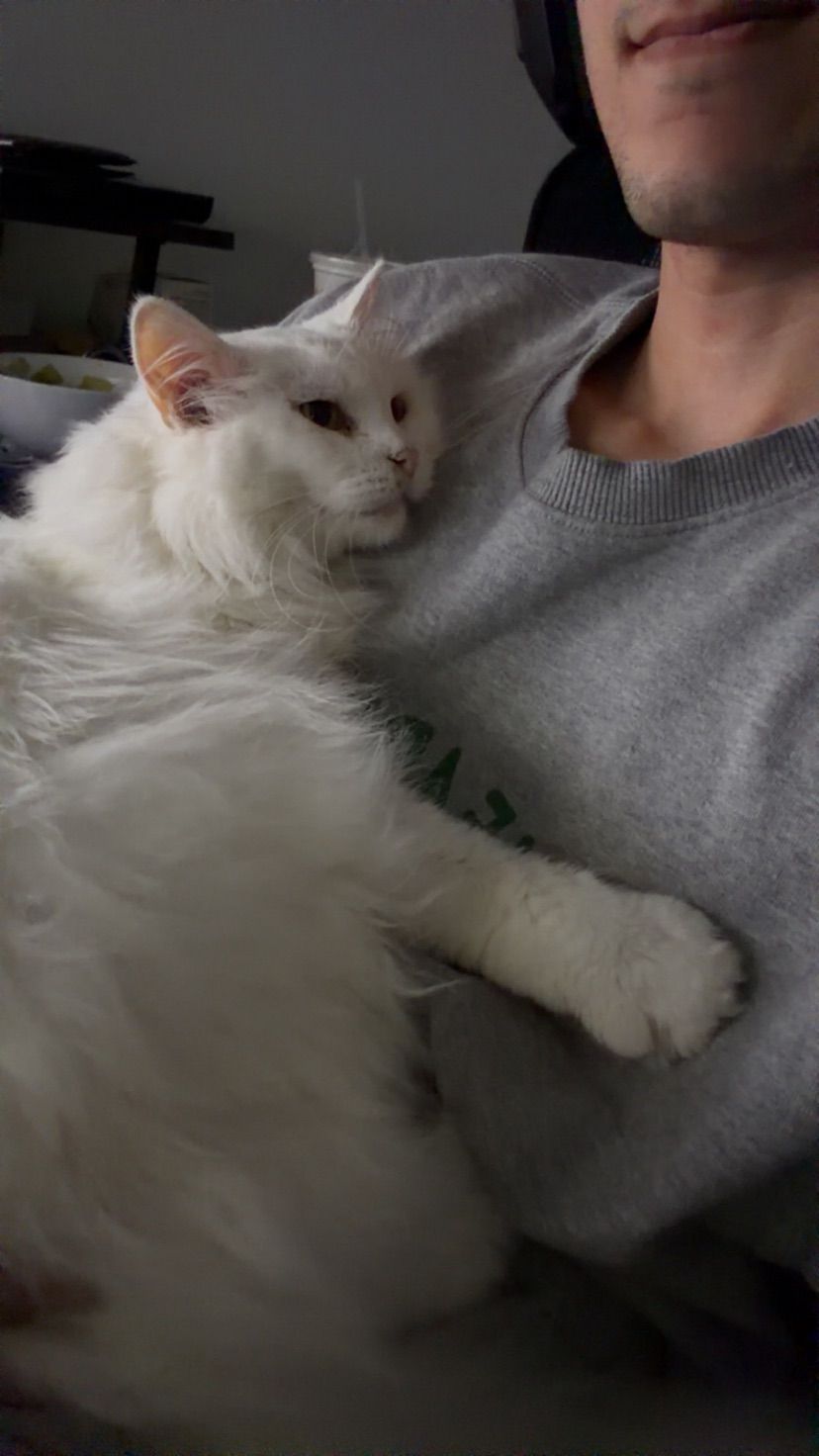 my gaming bestie