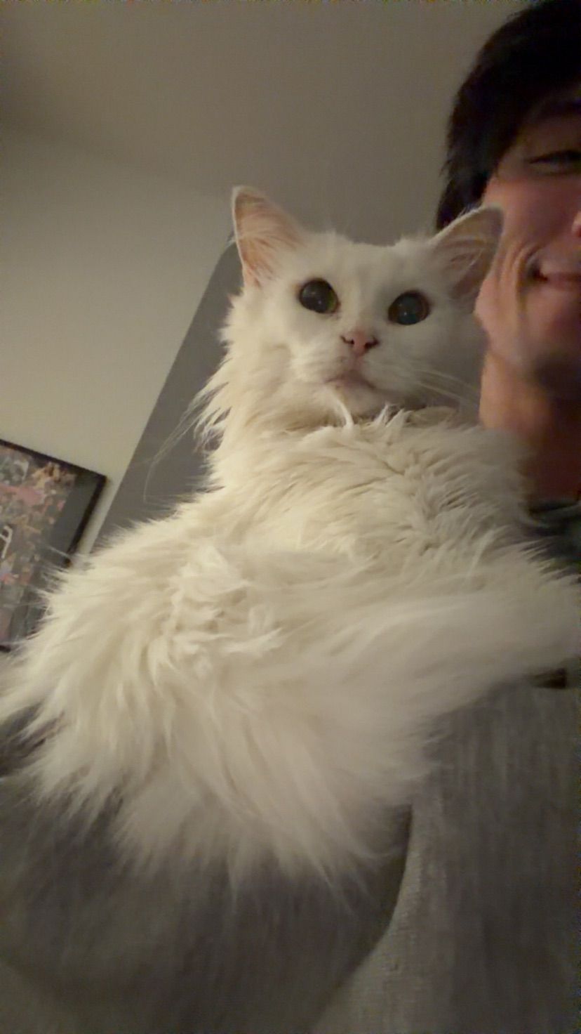 me n ma cat bouta play some games c: