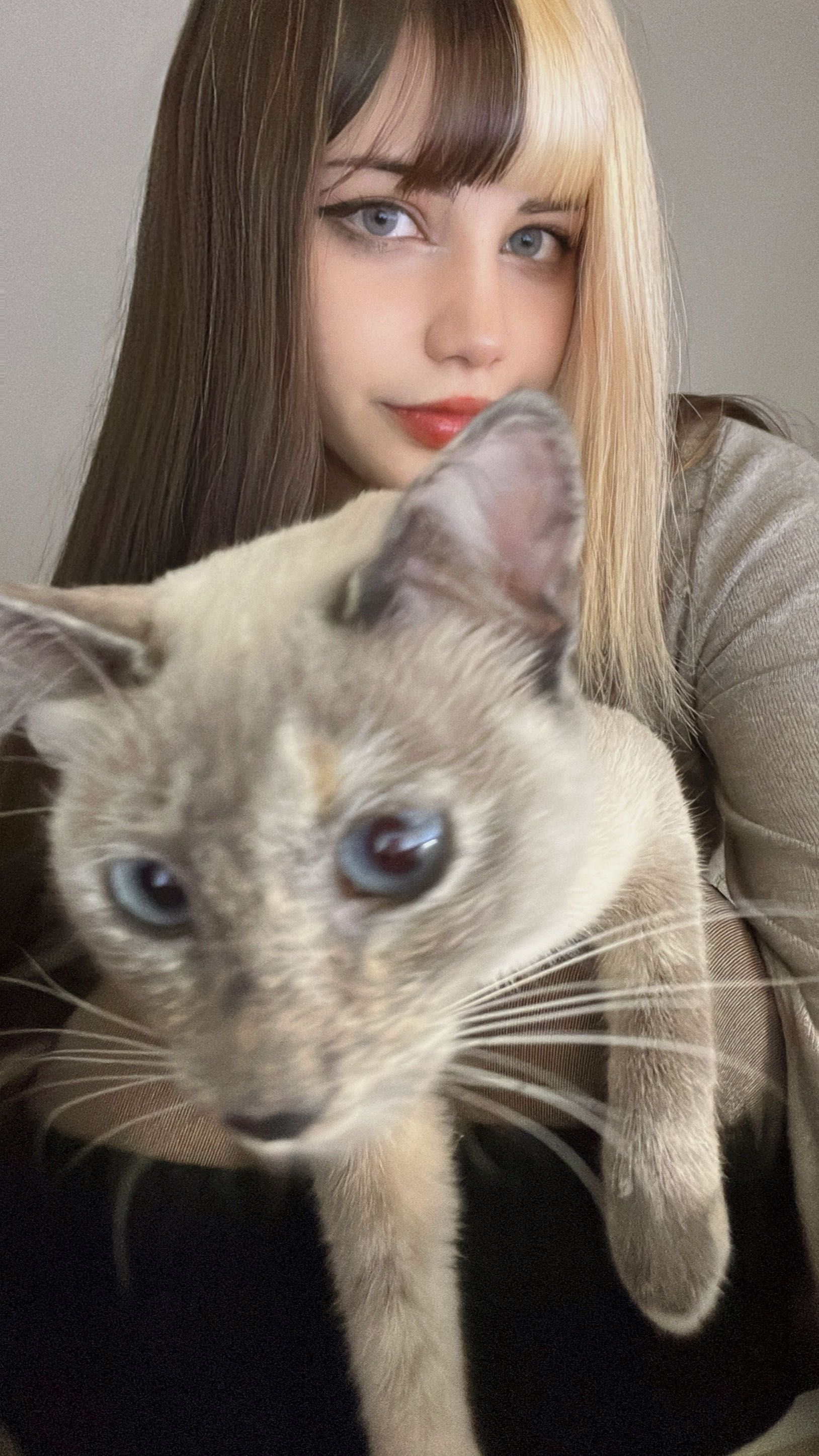 alt gf