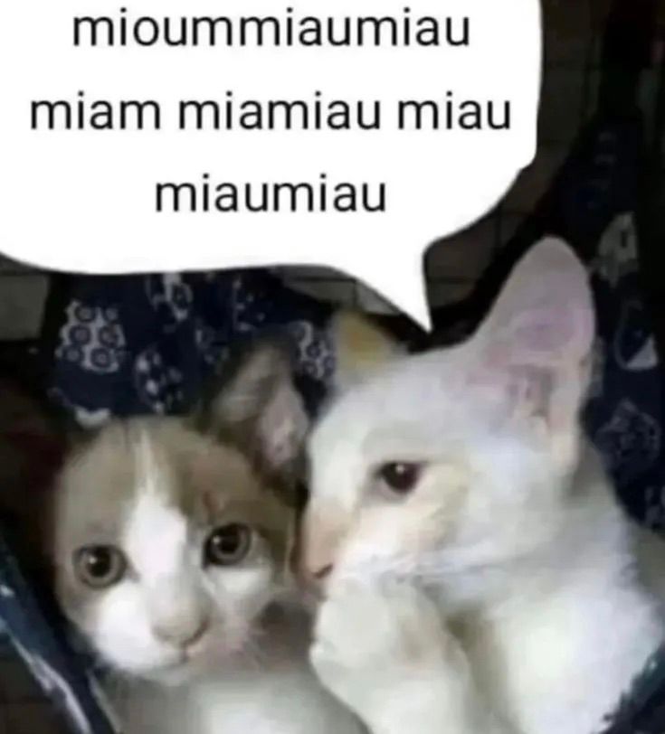 Me sharing veryyyyyyy important sercrets with you