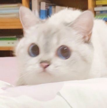 Me when someone mentions league