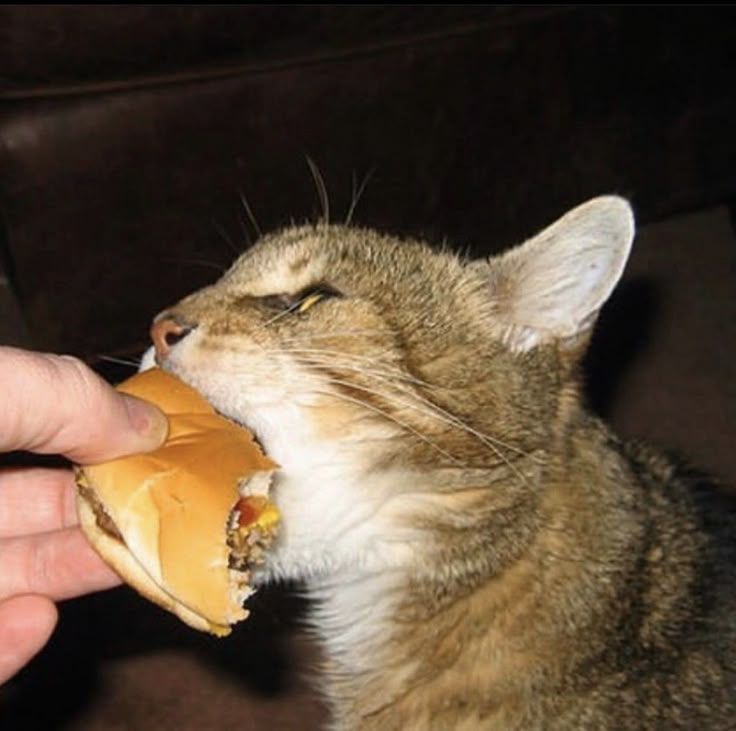 im so hungry (っ╥﹏╥ς)