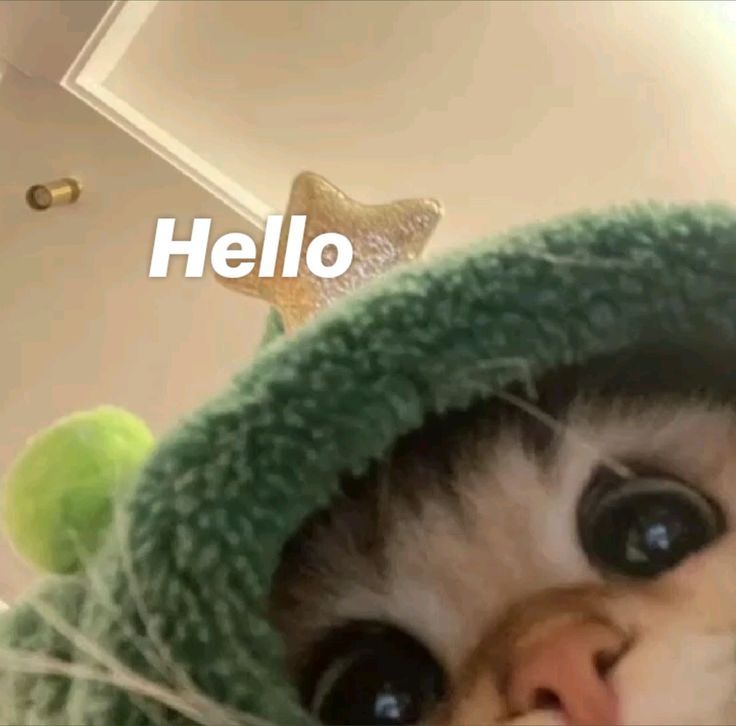Hey come play with me ≽(◉˕ ◉ ≼マ