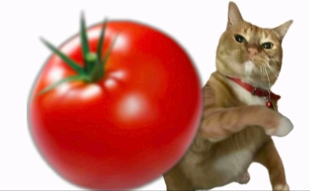 .,+-