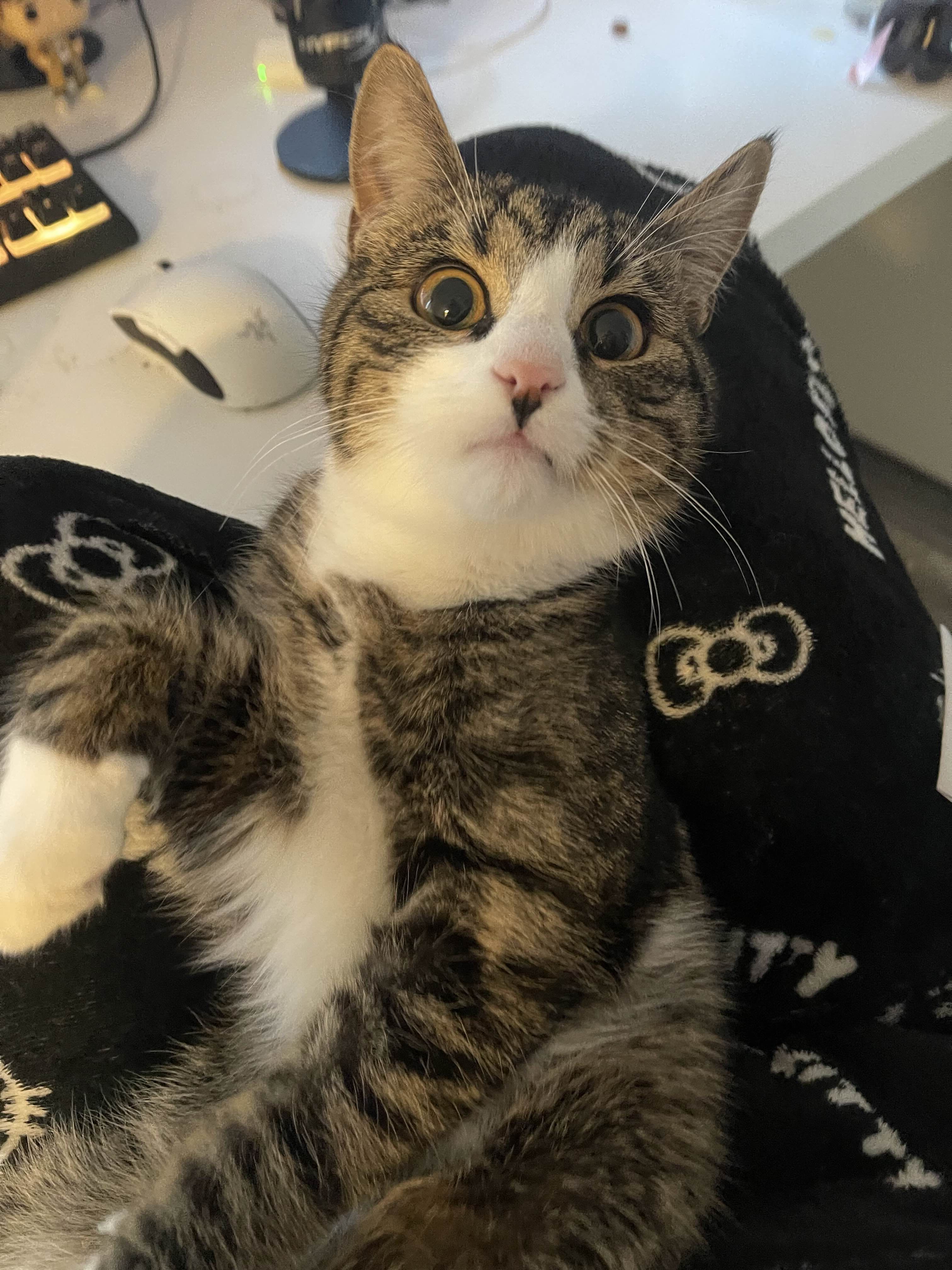 he dropped soda on my keyboard while i was playing