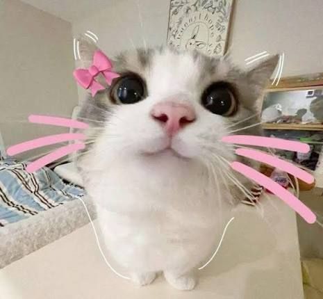 I JUST HIT ESTAR 2 ⸜(｡˃ ᵕ ˂)⸝♡
