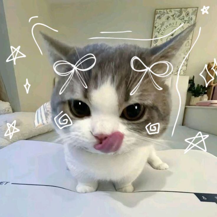 heh new mouse... heh (˶ˆᗜˆ˵)