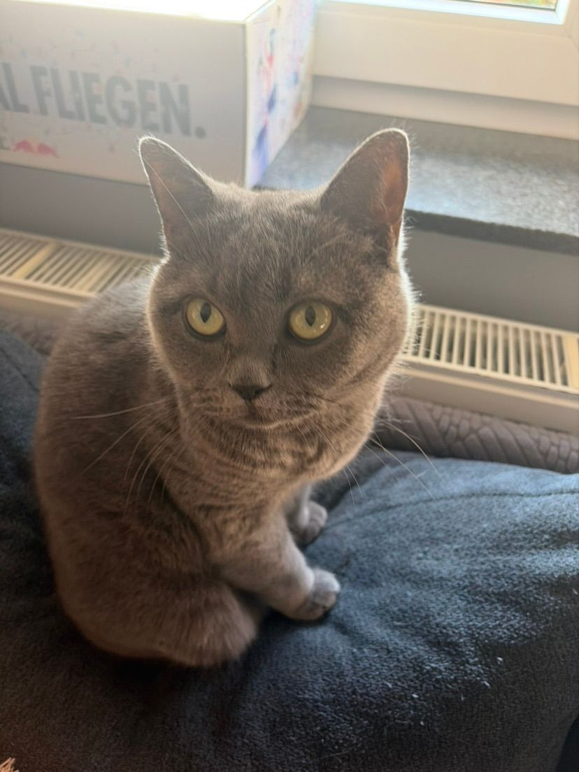 luni says hi