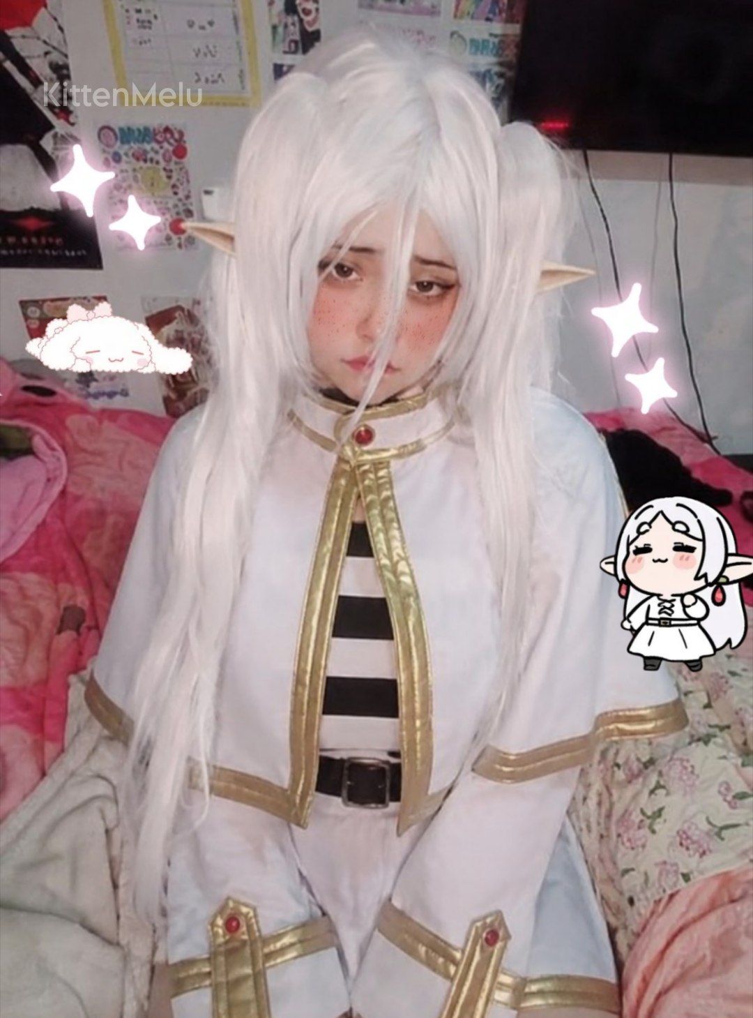 Frieren <( ´ ω ` )>✨