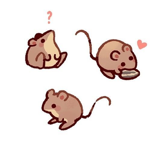 I saved a cute mouse last night from my cat aahhhh
