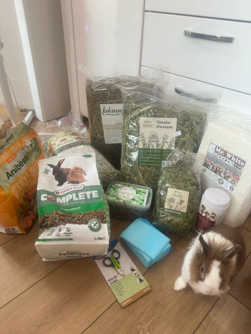 Spoiled little bunny