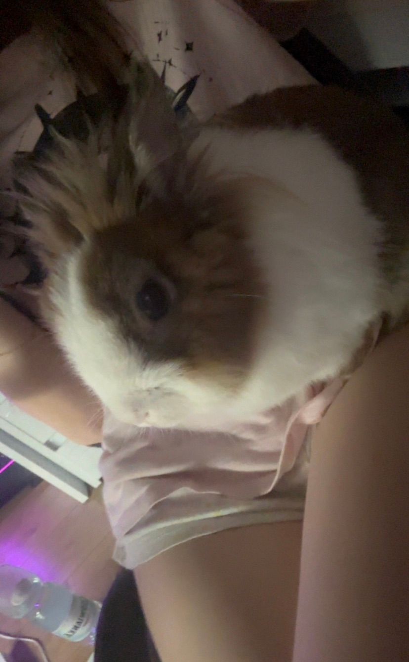 POV: