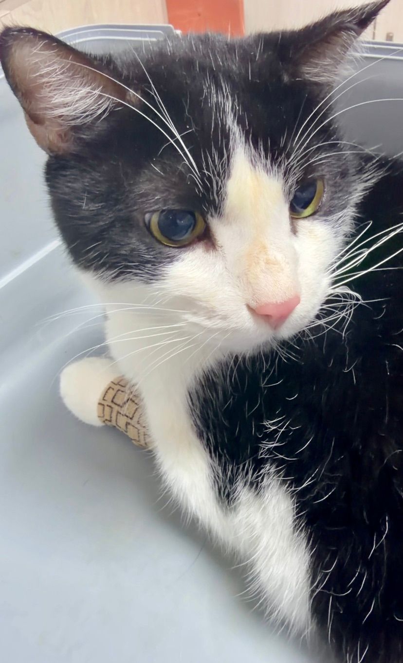send prayers cuz my baby is sick ):


imsad):