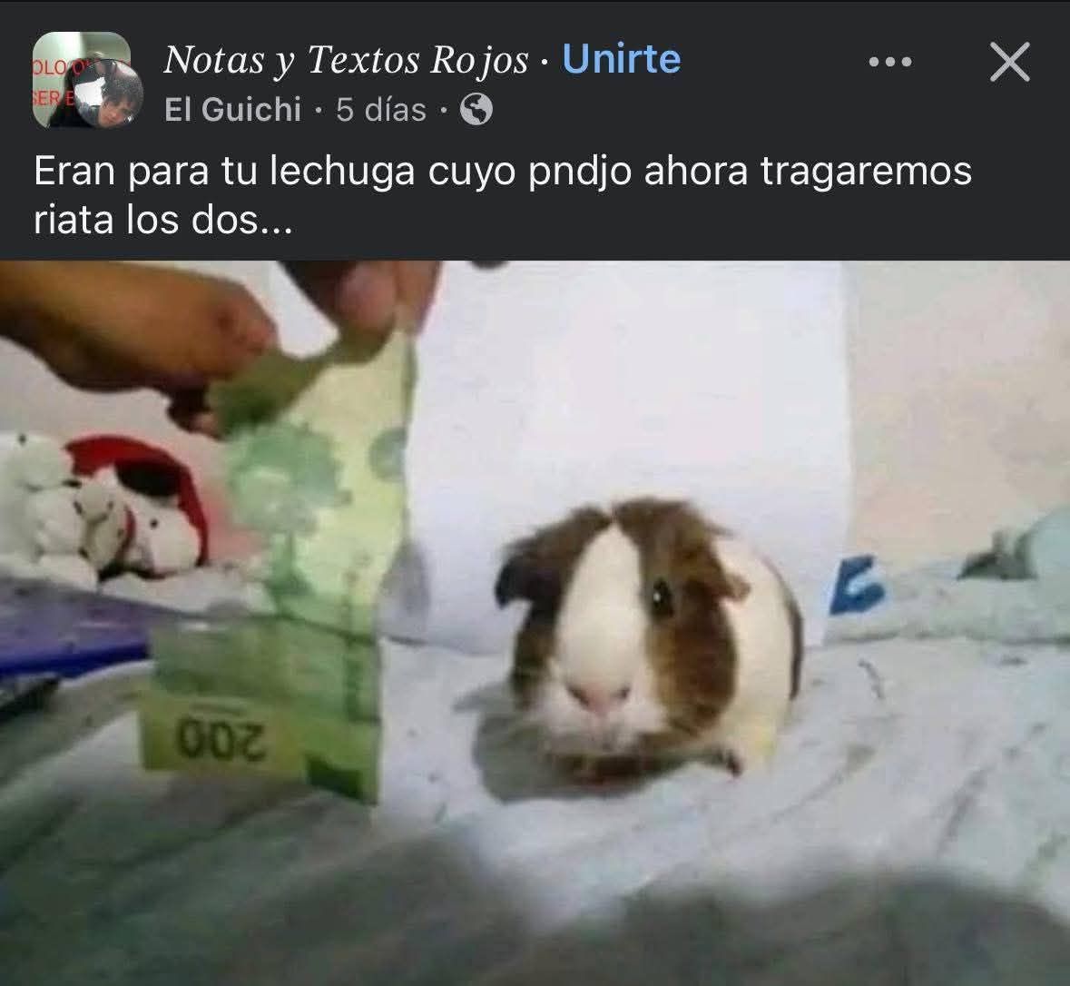 xd