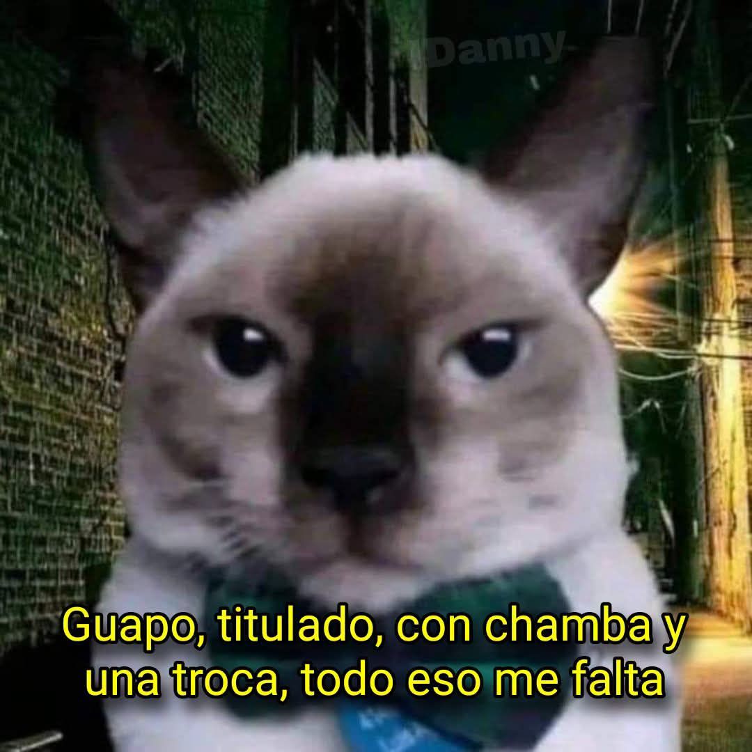 xd