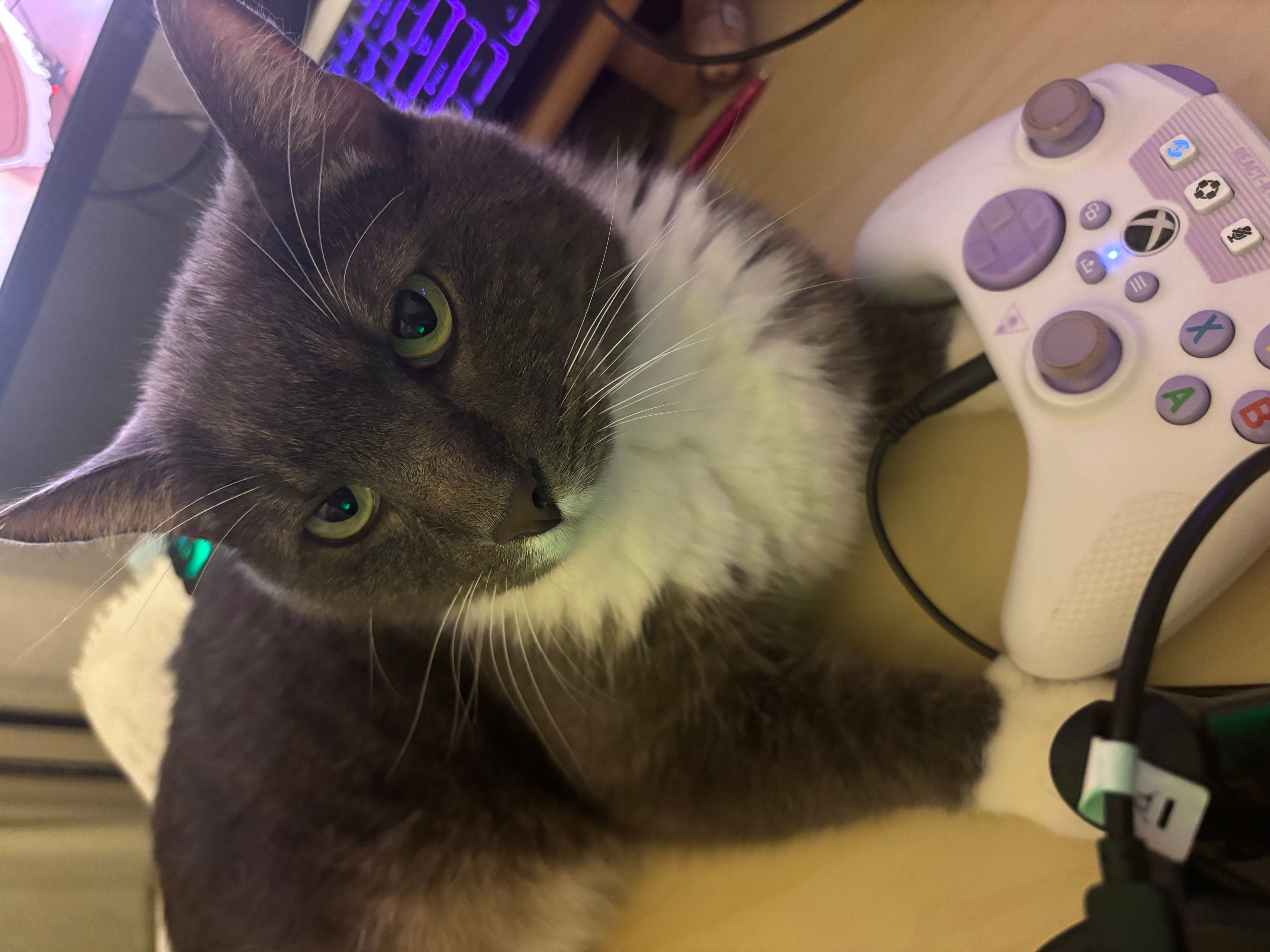 Ollie needs you at the game