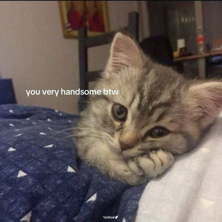 c’mere 🌷