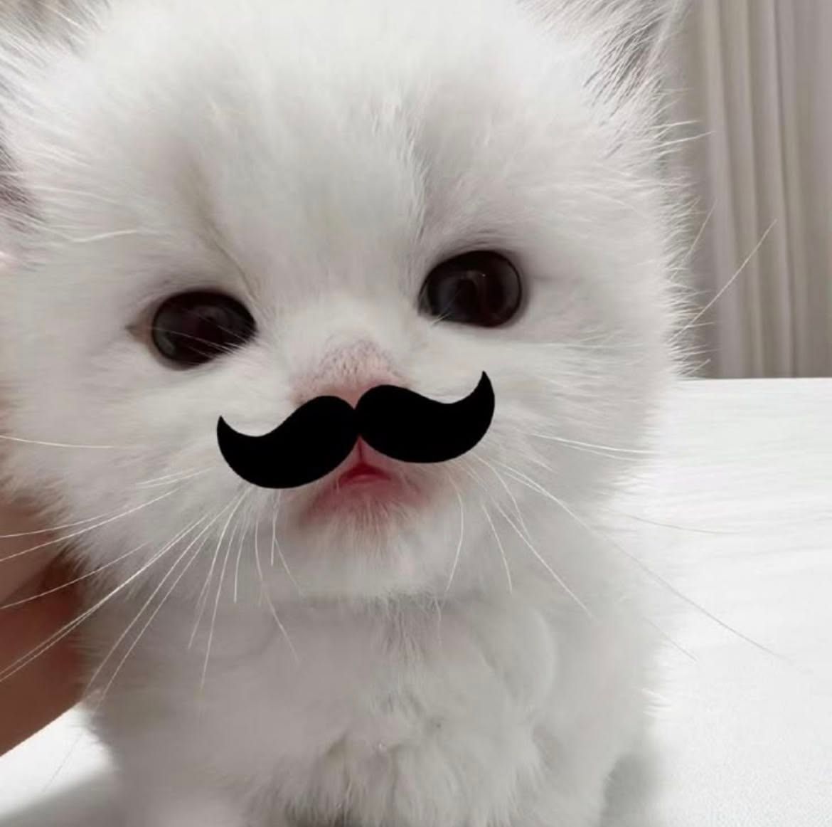 <3