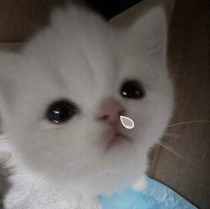 <3