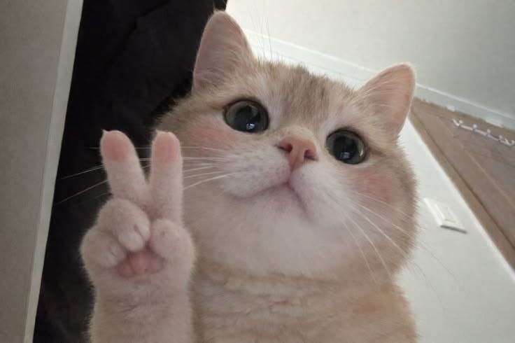 <3