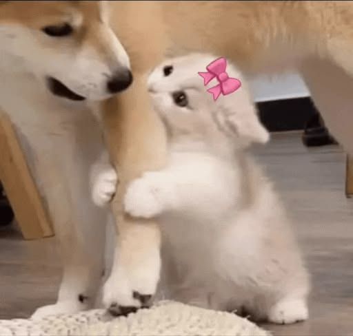 <3