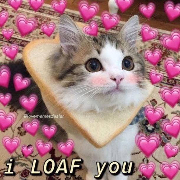 <3