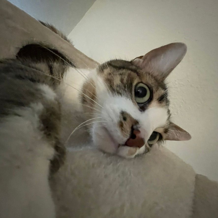 •