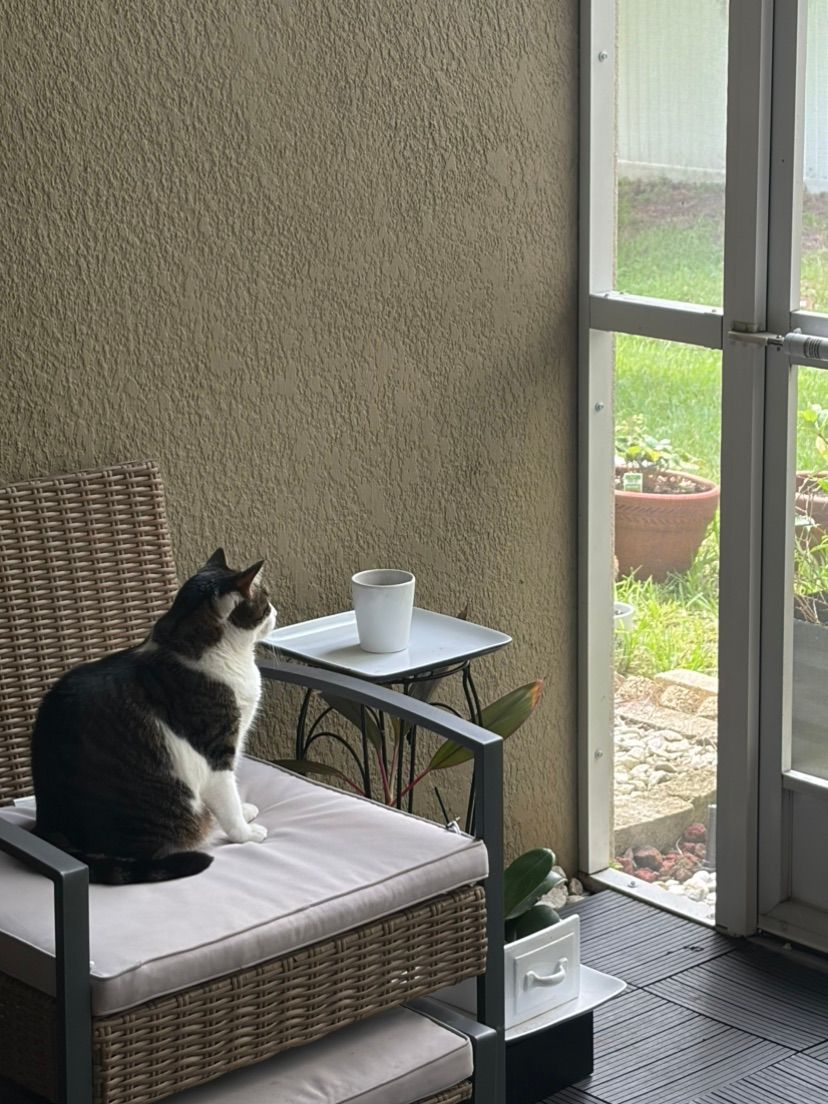 Fred Relax