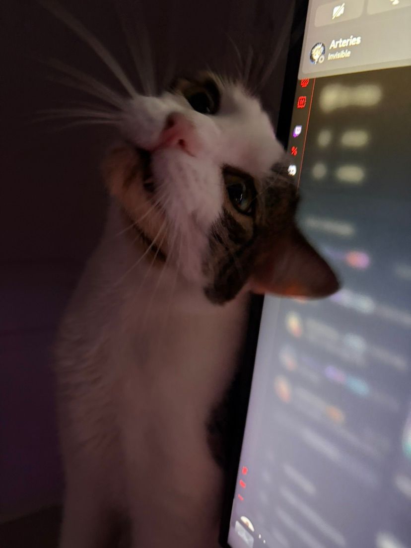 Felipe silly