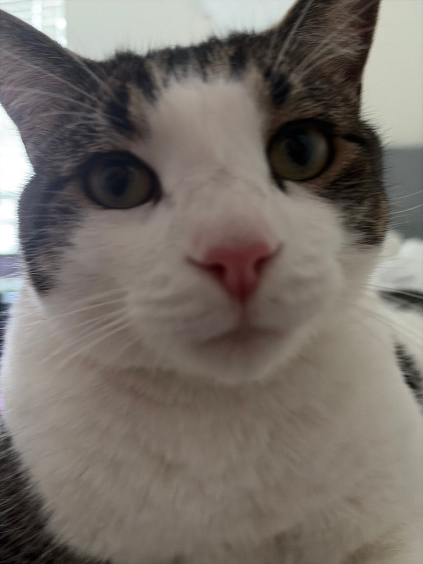 Fred stare