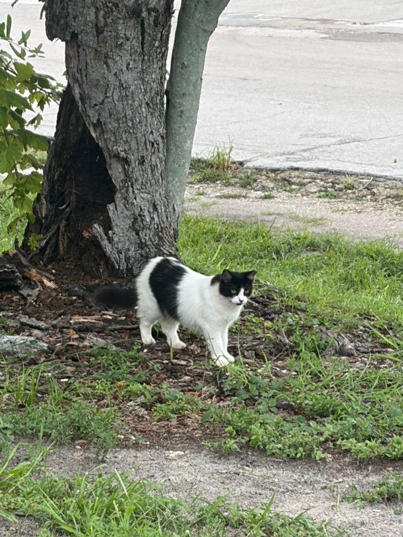 Hunter
