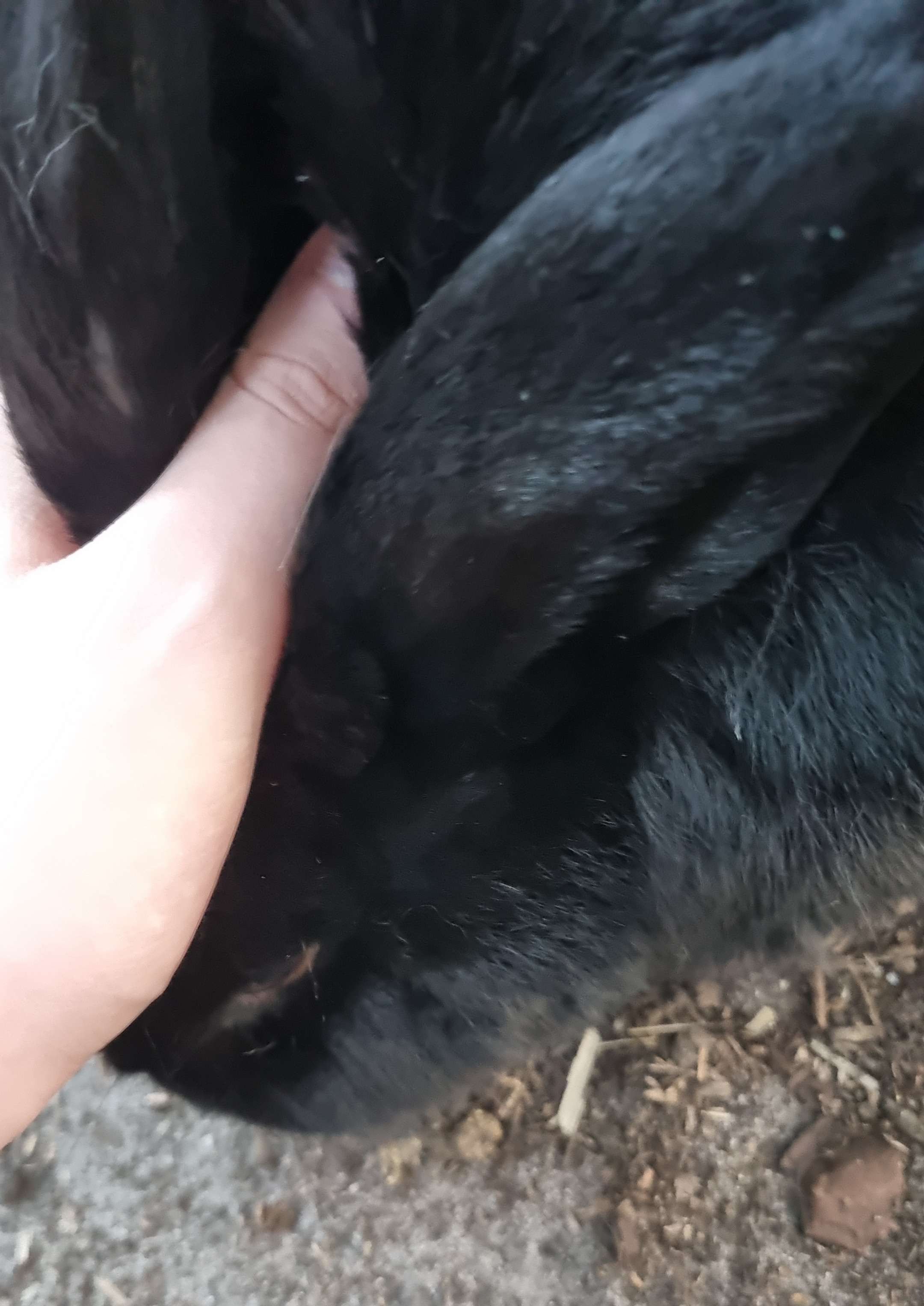 Giving her a hand