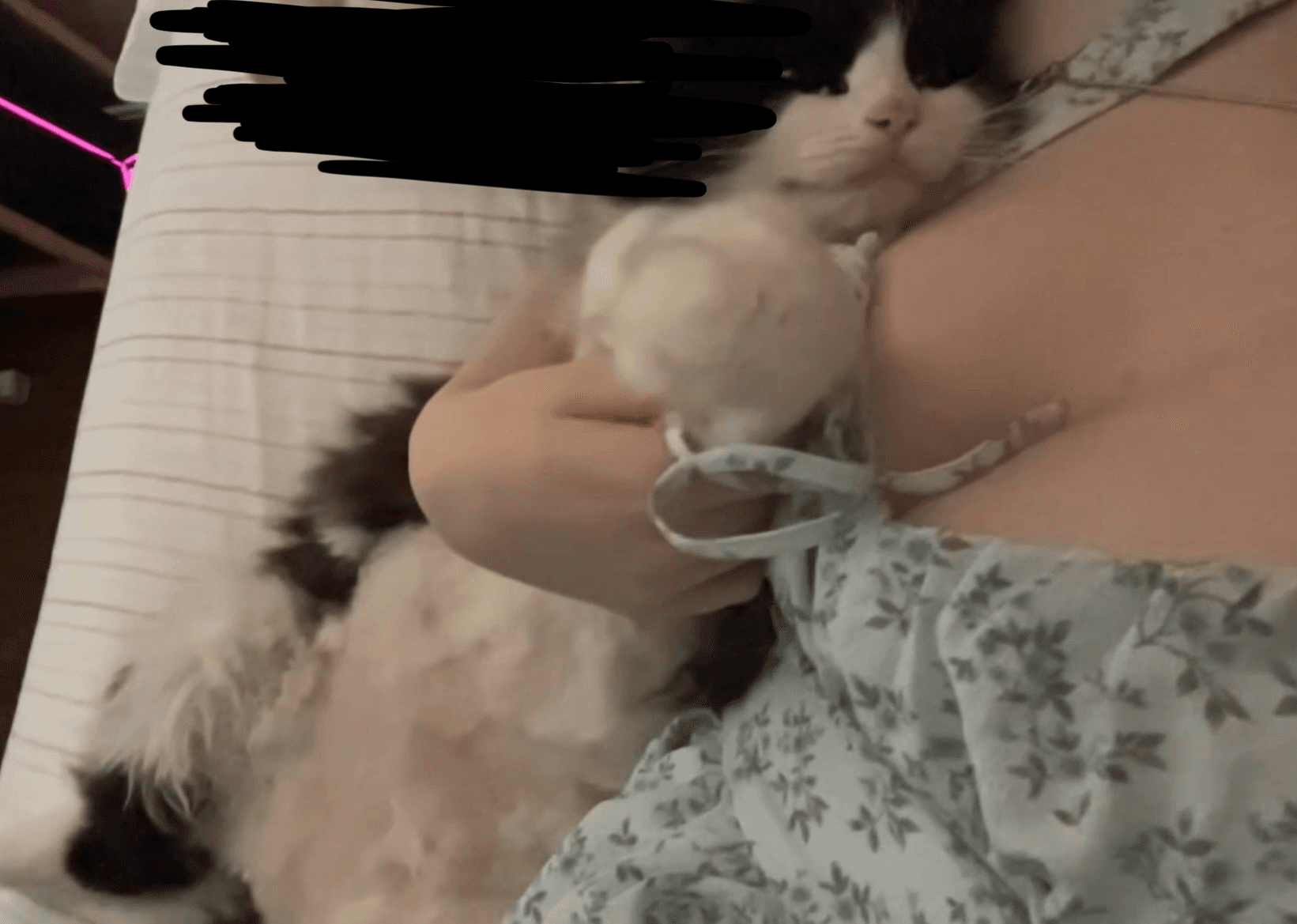 Relaxed Saturday With My Fur Baby