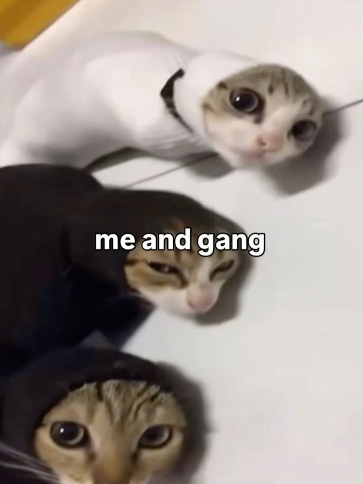 Me and the E-pal Homies!