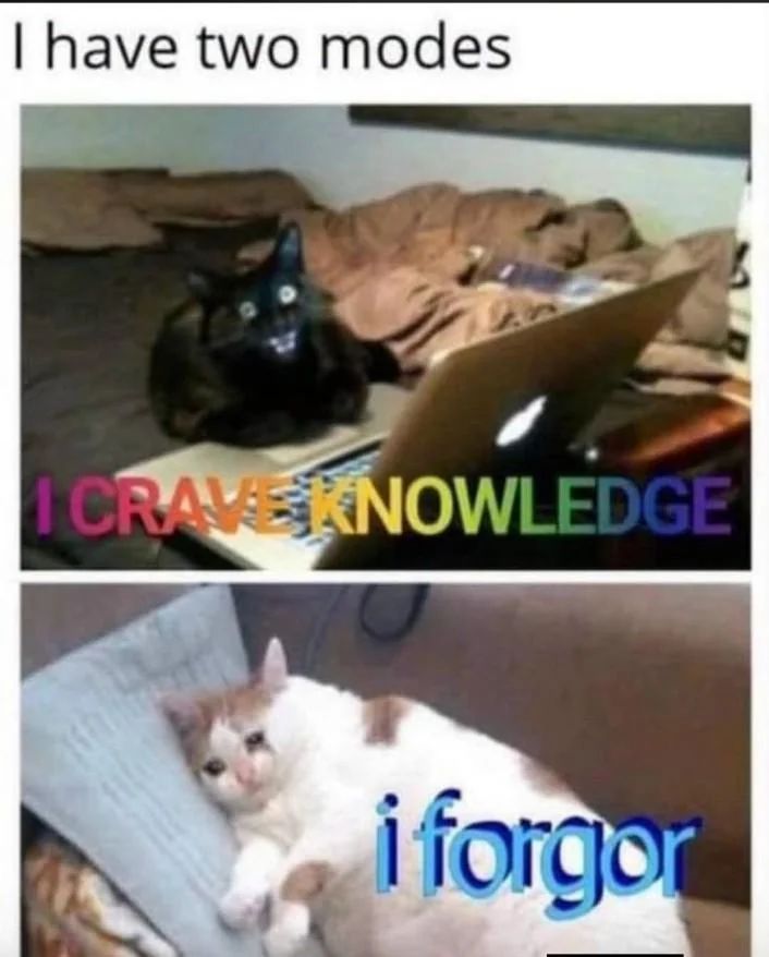 This is soo mee