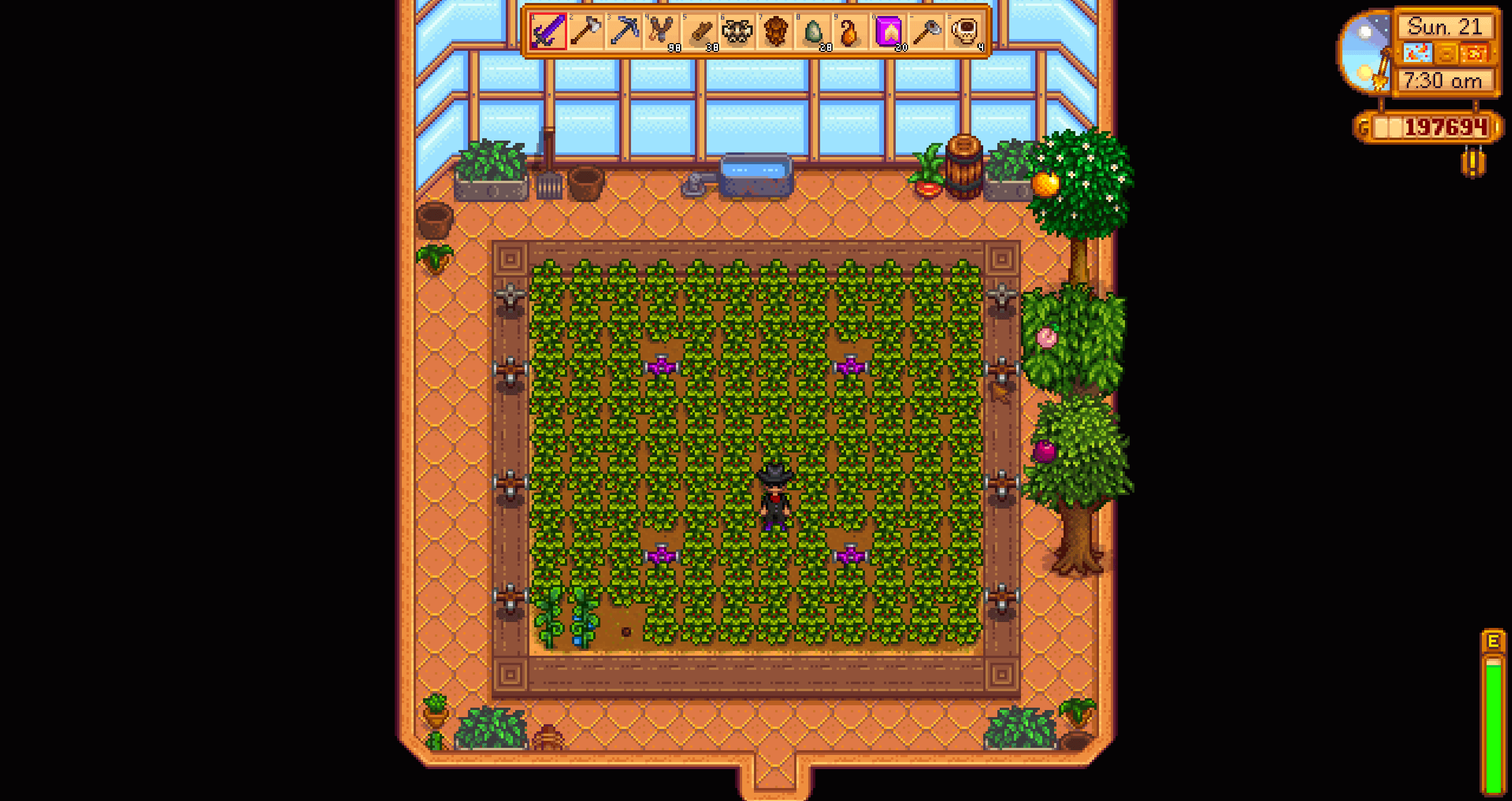 My super awesome farm