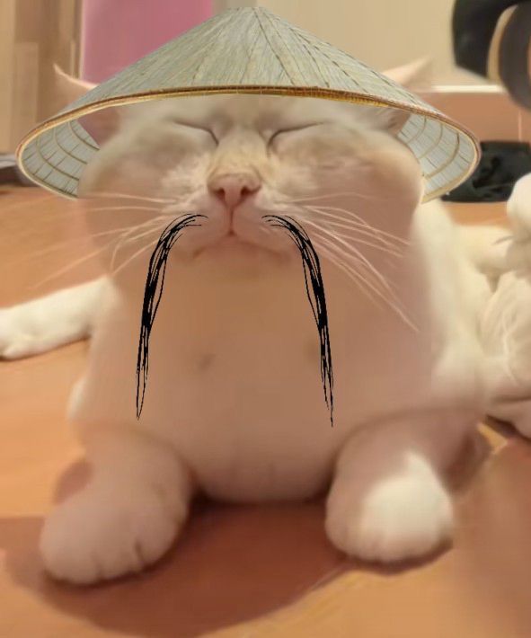 meoww