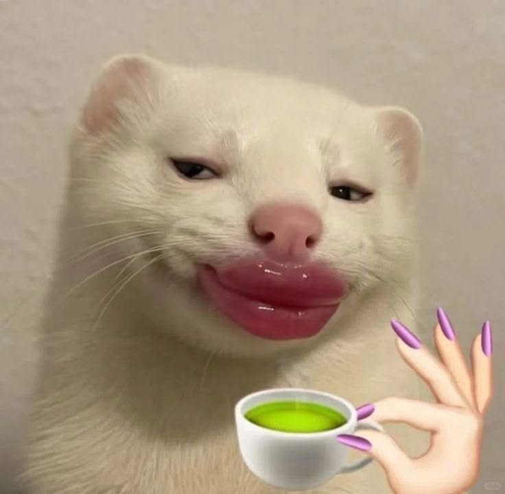 hiii